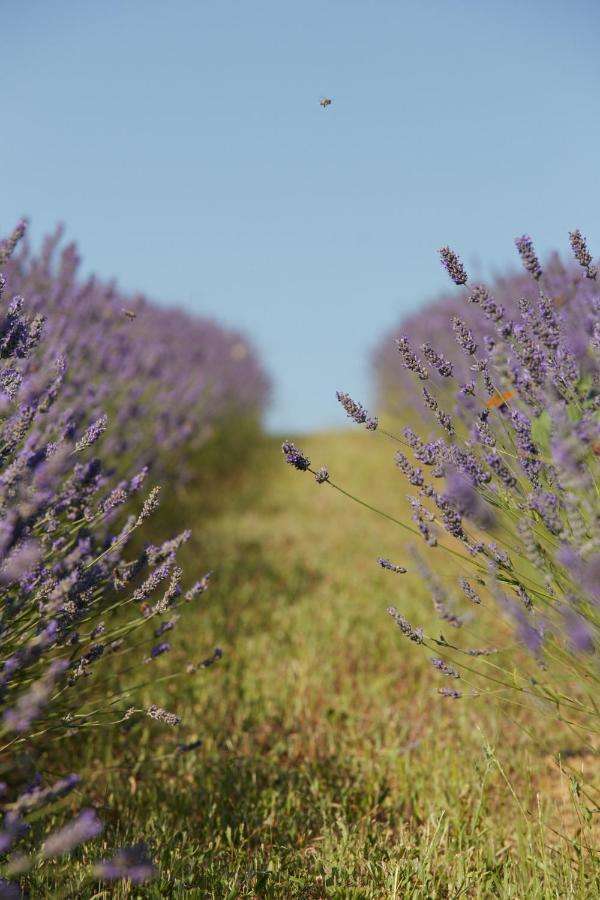 Grandono Agriturismo In Maremma Scansano Luaran gambar